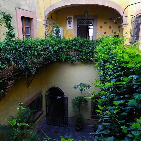 Lele Panchito Y Lavanda Juntos En El Centro Керетаро Экстерьер фото