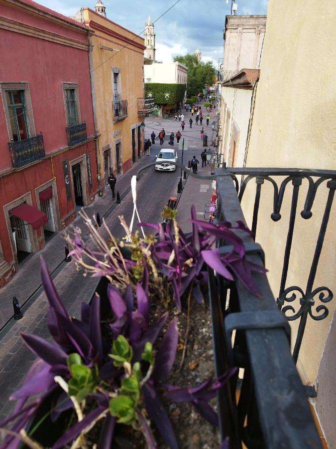 Lele Panchito Y Lavanda Juntos En El Centro Керетаро Экстерьер фото