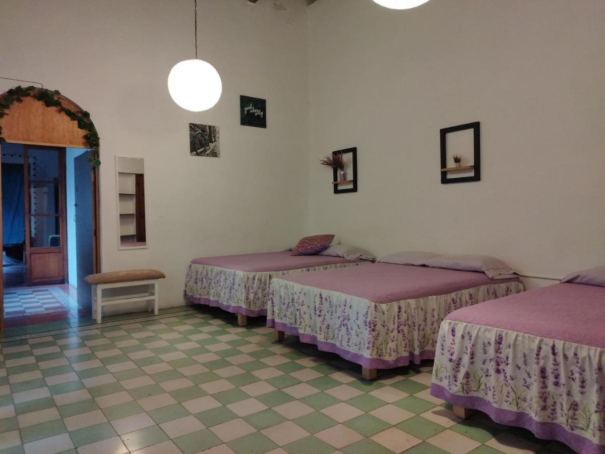 Lele Panchito Y Lavanda Juntos En El Centro Керетаро Экстерьер фото