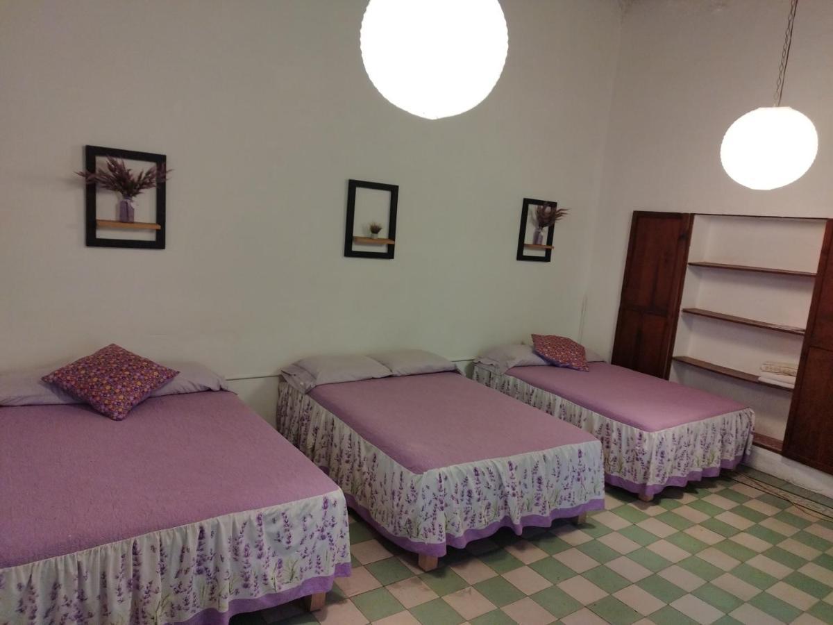 Lele Panchito Y Lavanda Juntos En El Centro Керетаро Экстерьер фото