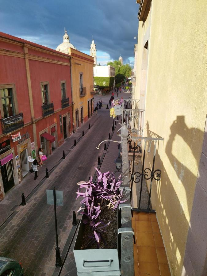 Lele Panchito Y Lavanda Juntos En El Centro Керетаро Экстерьер фото