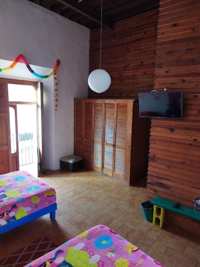 Lele Panchito Y Lavanda Juntos En El Centro Керетаро Экстерьер фото