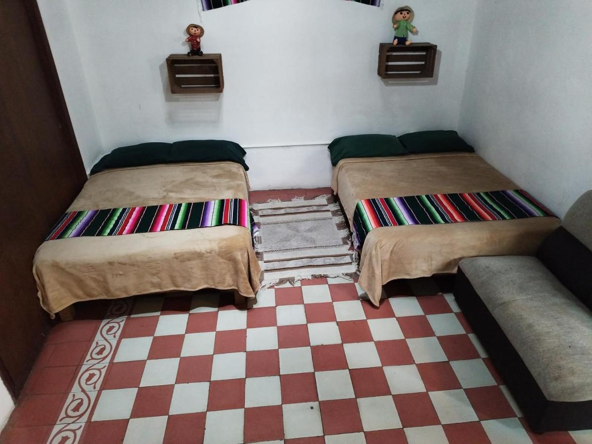Lele Panchito Y Lavanda Juntos En El Centro Керетаро Экстерьер фото