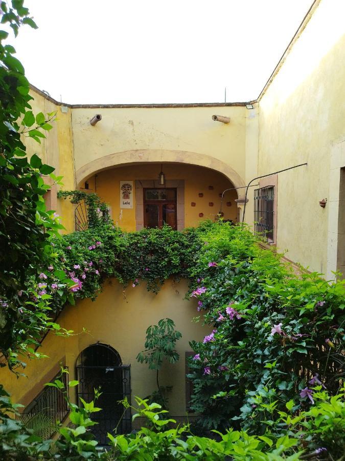 Lele Panchito Y Lavanda Juntos En El Centro Керетаро Экстерьер фото