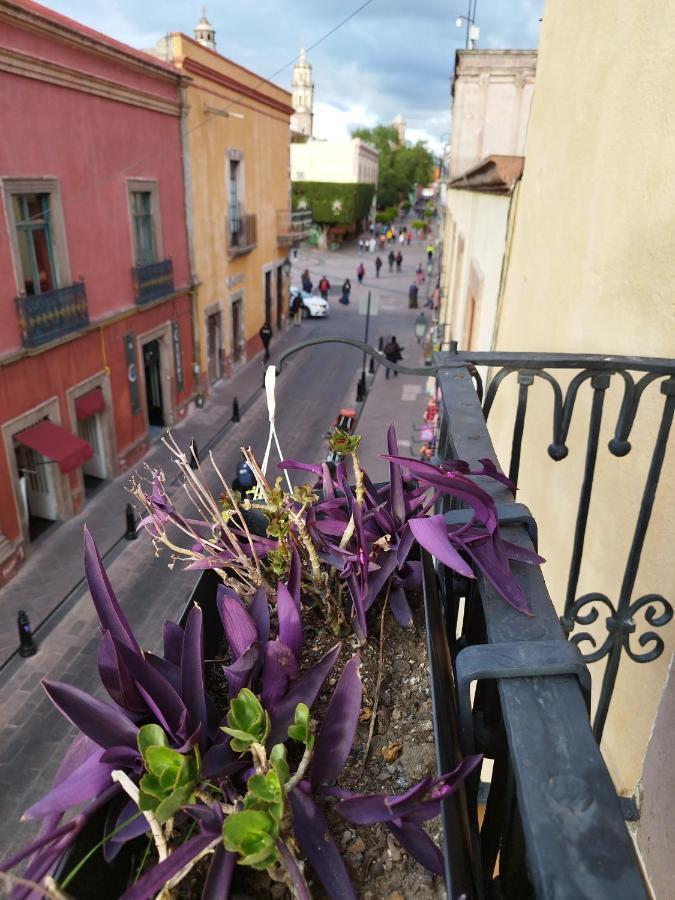 Lele Panchito Y Lavanda Juntos En El Centro Керетаро Экстерьер фото