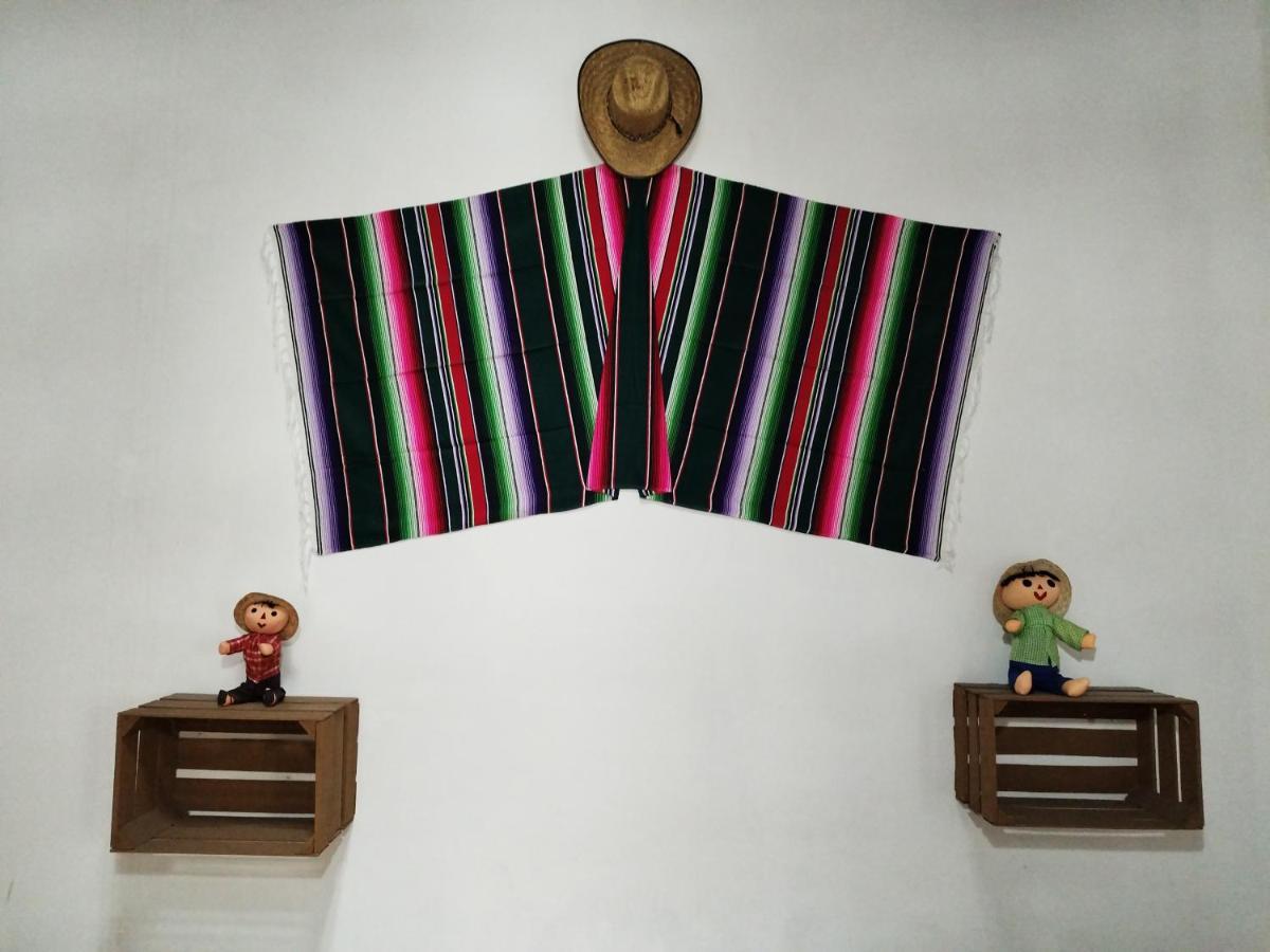 Lele Panchito Y Lavanda Juntos En El Centro Керетаро Экстерьер фото